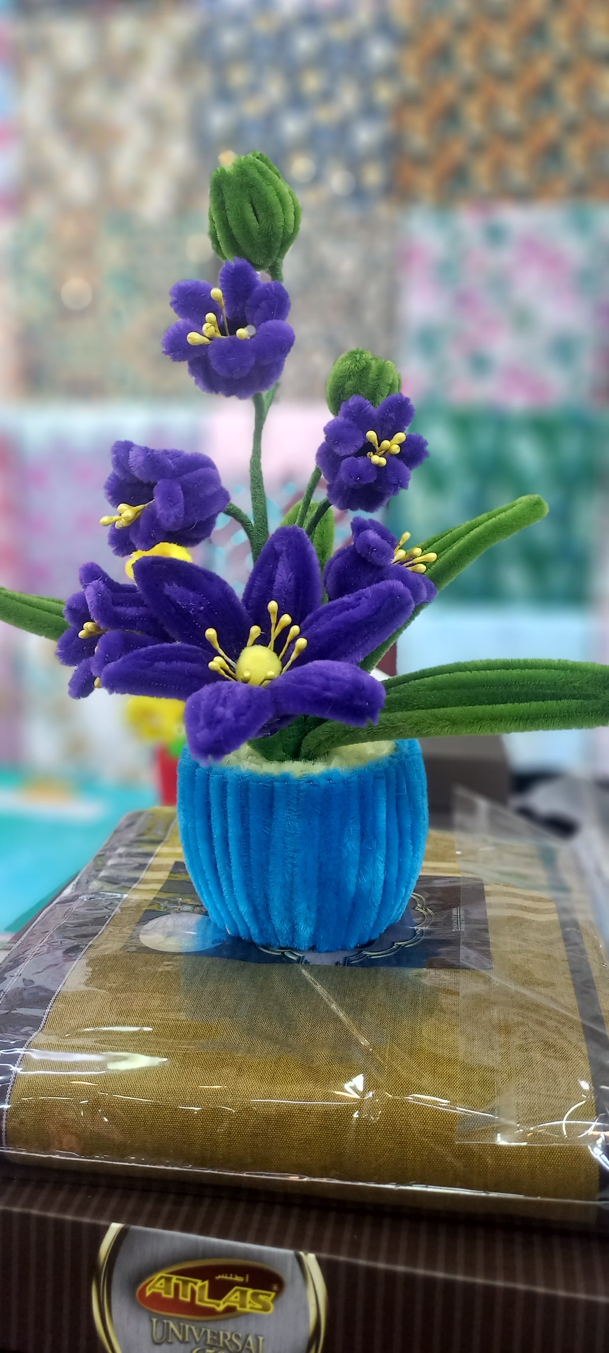 Lily of the valley in a pot.