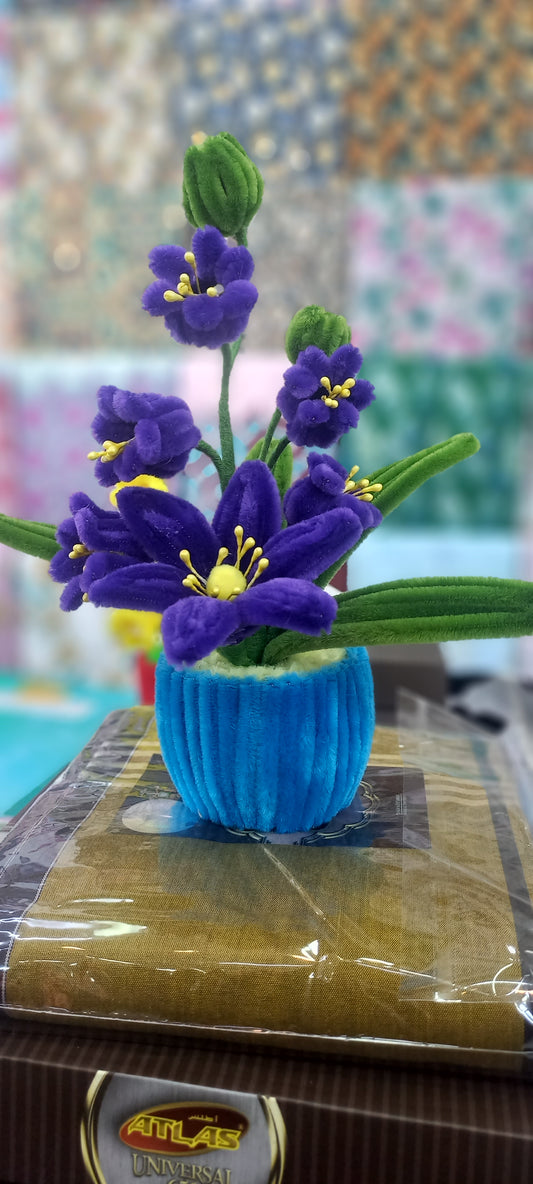 Lily of the valley in a pot.
