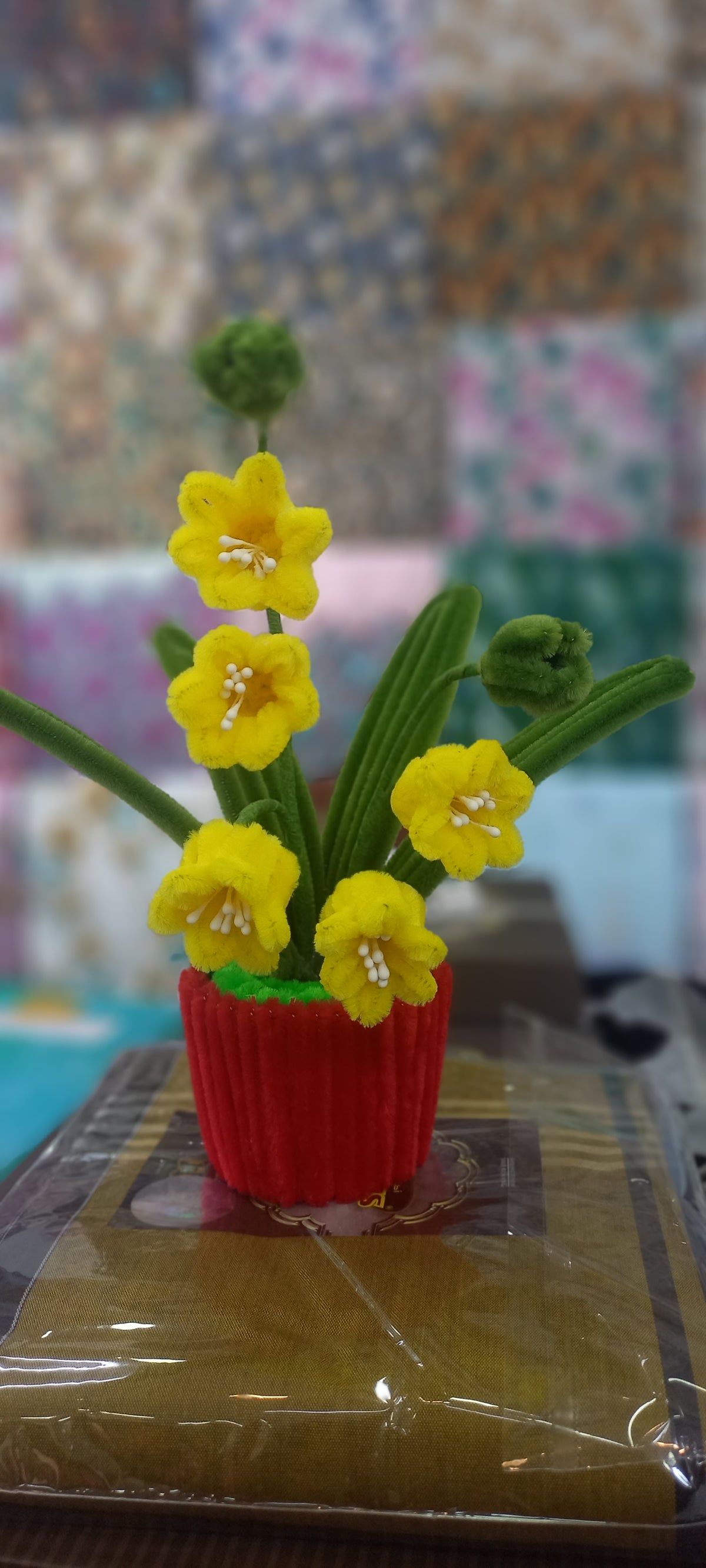 Lily of the valley in a pot.